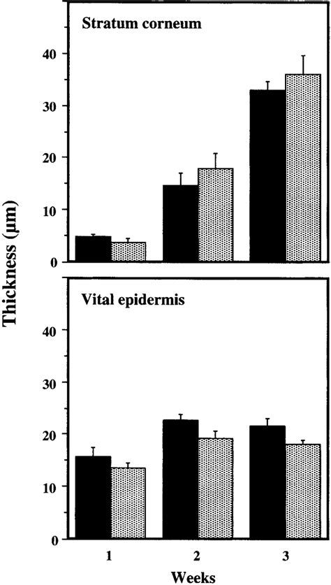 measurement of stratum corneum thickness|unique characteristics of stratum corneum.